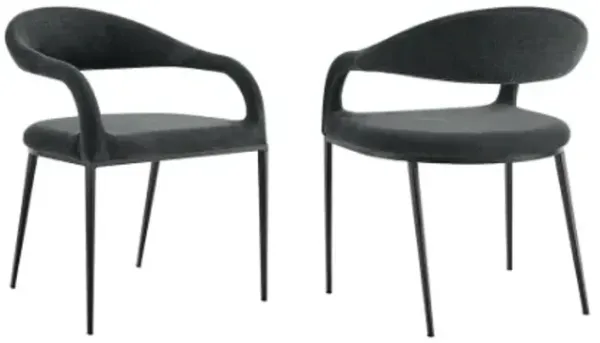 Armen Living Morgan 2-Piece Black Dining Chair Set