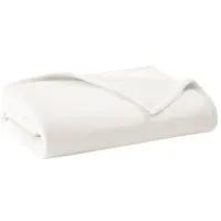 Olliix by Clean Spaces Ivory Twin  Antimicrobial Plush Blanket