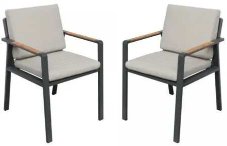 Armen Living Nofi 2-Piece Charcoal Outdoor Patio Dining Chairs