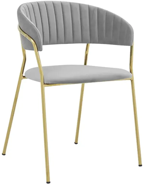 Armen Living Nara 2-Piece Gray Dining Chairs