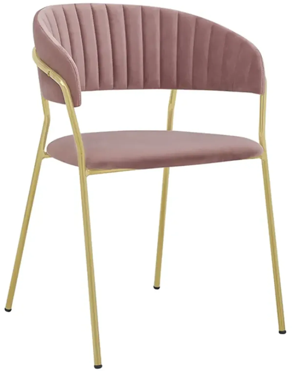 Armen Living Nara 2-Piece Pink Dining Chairs