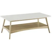 Olliix by Madison Park Off-White and Natural Parker Coffee Table