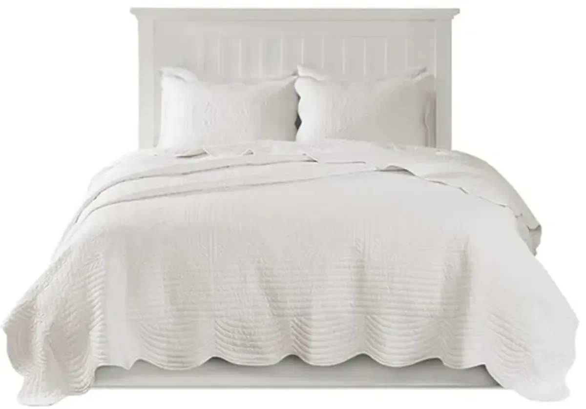 Olliix by Madison Park White King/California King Tuscany 3 Piece Reversible Scalloped Edge Coverlet Set