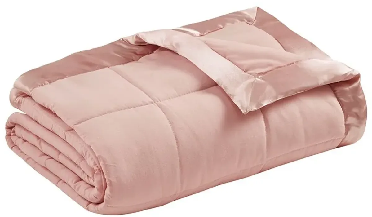 Olliix by Madison Park Blush All Season Hypoallergenic Microfiber Down Alternative Twin Windom Blanket