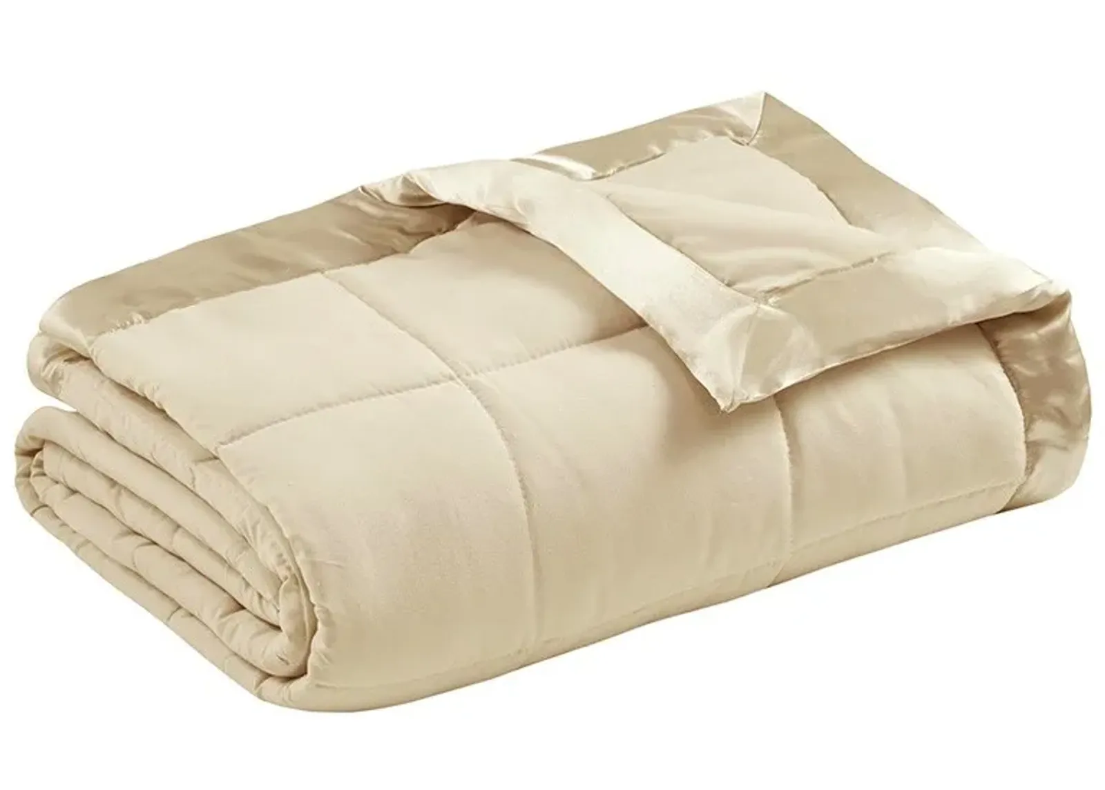 Olliix by Madison Park Ivory All Season Hypoallergenic Microfiber Down Alternative Twin Windom Blanket