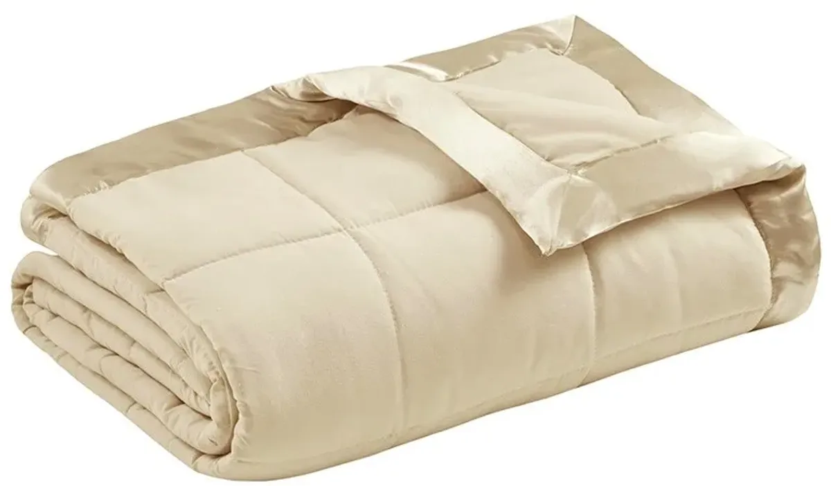 Olliix by Madison Park Ivory All Season Hypoallergenic Microfiber Down Alternative Twin Windom Blanket