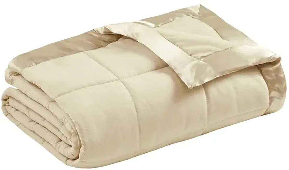 Olliix by Madison Park Ivory All Season Hypoallergenic Microfiber Down Alternative Twin Windom Blanket