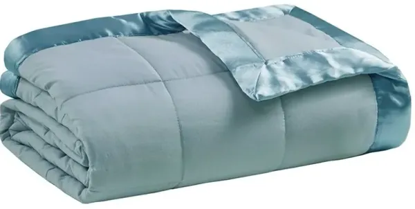 Olliix by Madison Park Blue All Season Hypoallergenic Microfiber Down Alternative Twin Windom Blanket