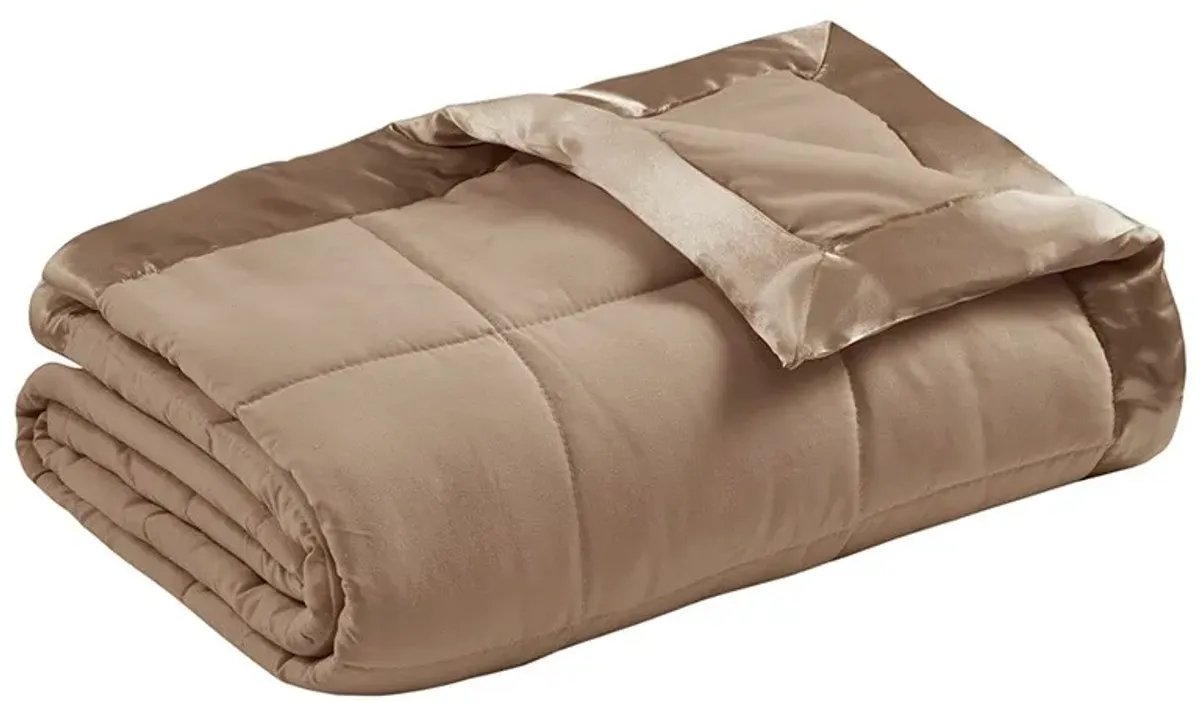 Olliix by Madison Park Brown All Season Hypoallergenic Microfiber Down Alternative Twin Windom Blanket