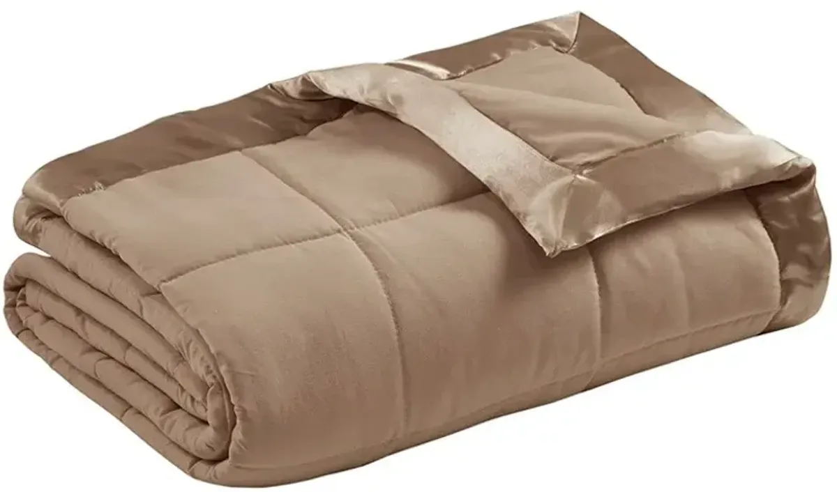 Olliix by Madison Park Brown All Season Hypoallergenic Microfiber Down Alternative Twin Windom Blanket