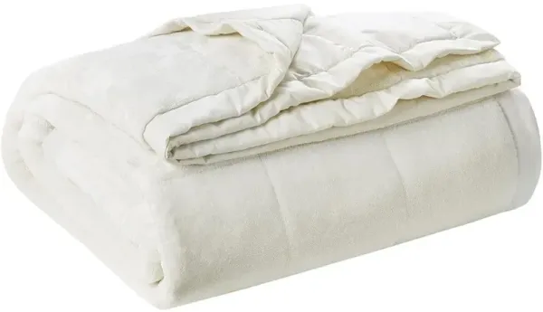 Olliix by Madison Park Coleman Ivory King Reversible Down Alternative Blanket