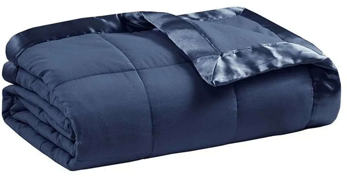 Olliix by Madison Park Navy Twin Windom All Season Hypoallergenic Microfiber Down Alternative Blanket with 3M Scotchgard