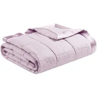 Olliix by Madison Park Cambria Lilac Premium Oversize Down Alternative Blanket with 3M Scotchgard