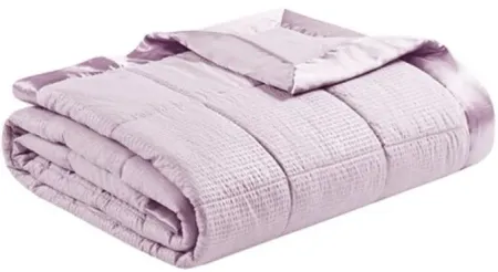 Olliix by Madison Park Cambria Lilac King Premium Oversize Down Alternative Blanket with 3M Scotchgard