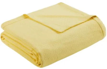 Olliix by Madison Park Liquid Cotton Yellow King Blanket