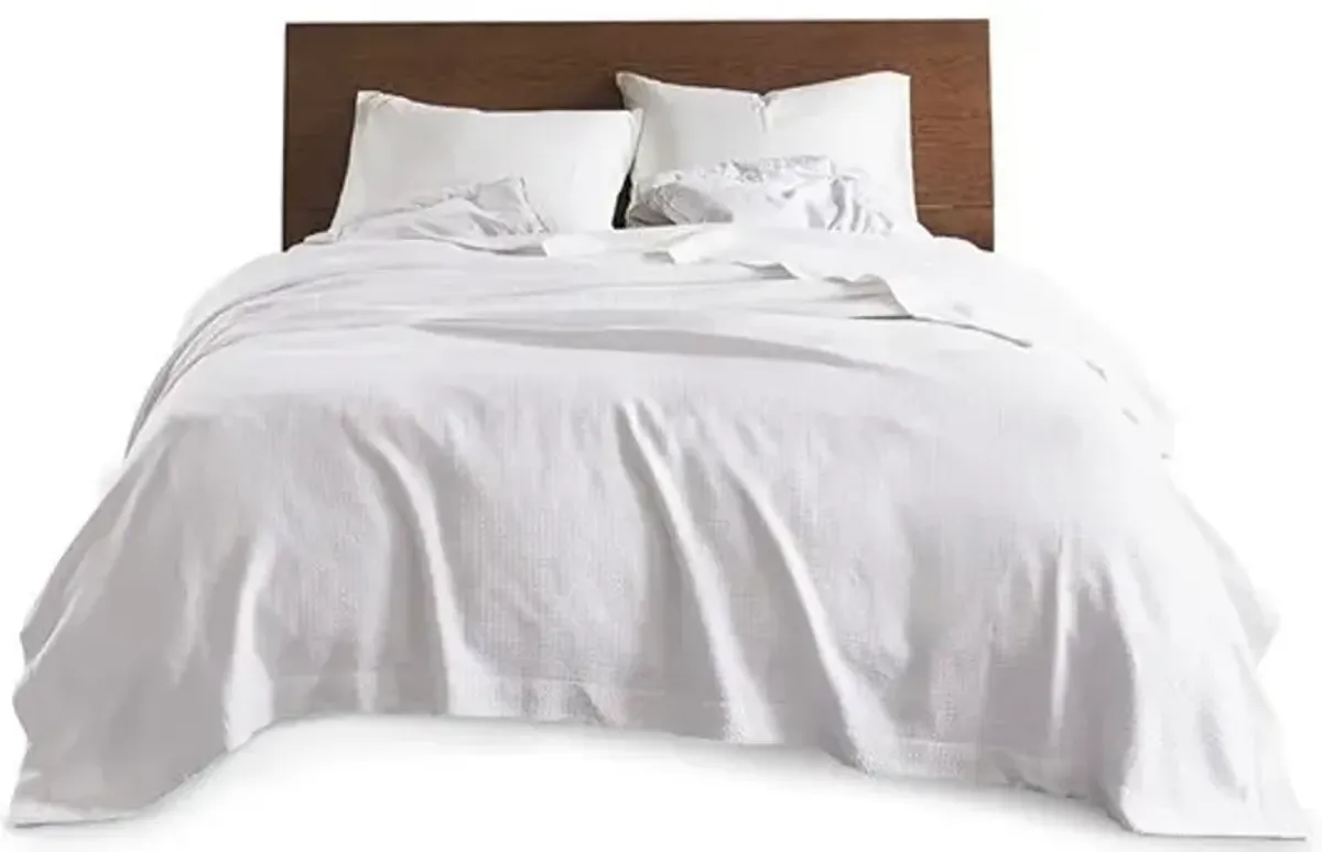 Olliix by Madison Park 100% Certified Egyptian Cotton White Twin Blanket