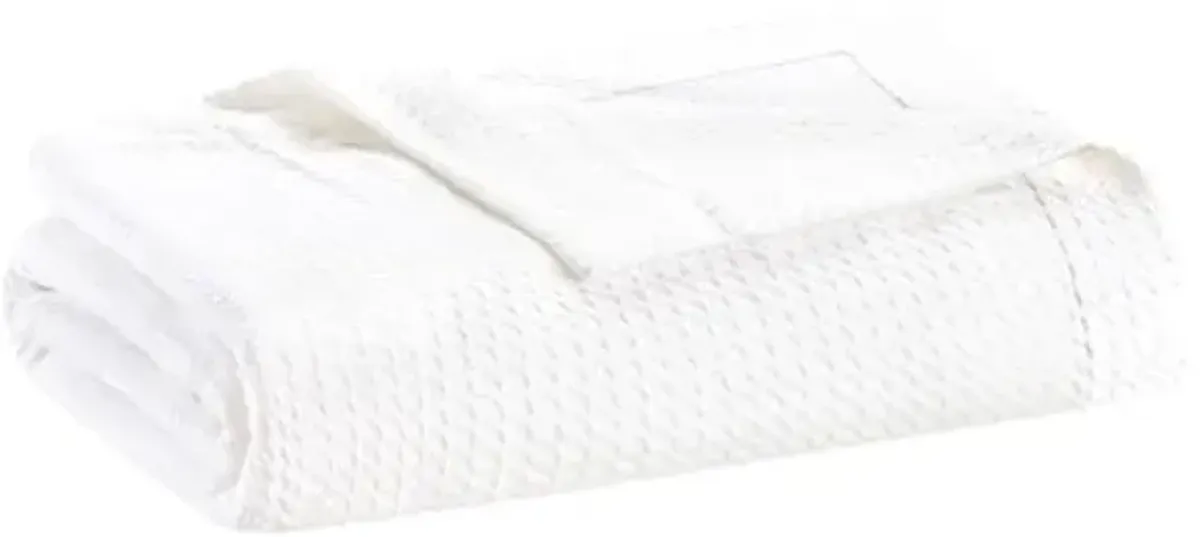 Olliix by Madison Park 100% Certified Egyptian Cotton White Twin Blanket