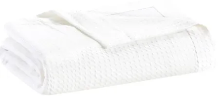 Olliix by Madison Park Egyptian Cotton White Full/Queen 100% Certified Egyptian Cotton Blanket