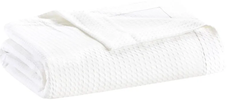 Olliix by Madison Park Egyptian Cotton White Full/Queen 100% Certified Egyptian Cotton Blanket
