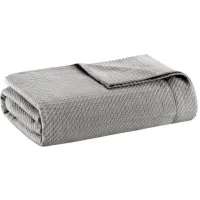 Olliix by Madison Park Egyptian Cotton Grey Twin Blanket
