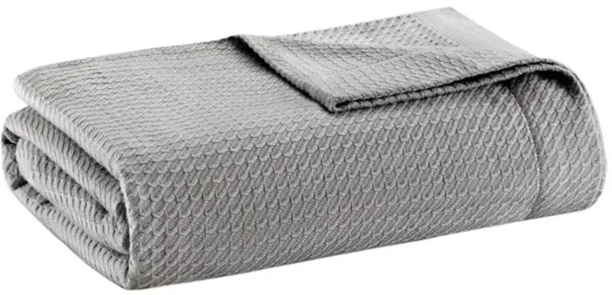 Olliix by Madison Park Egyptian Cotton Grey Twin Blanket