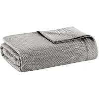 Olliix by Madison Park Egyptian Cotton Grey Full/Queen 100% Certified Egyptian Cotton Blanket