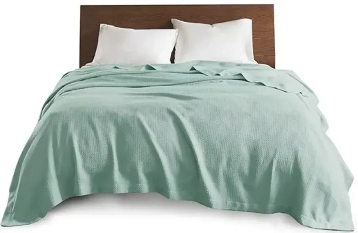 Olliix by Madison Park 100% Certified Egyptian Cotton Seafoam King Blanket