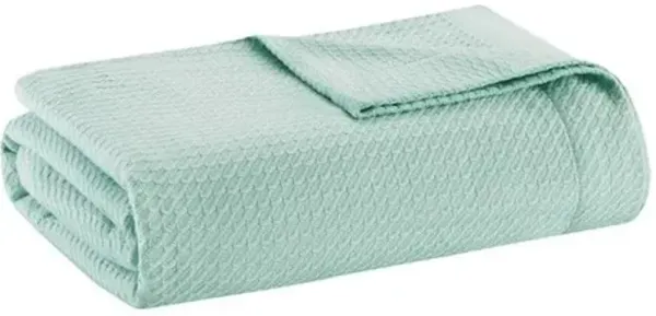 Olliix by Madison Park 100% Certified Egyptian Cotton Seafoam King Blanket