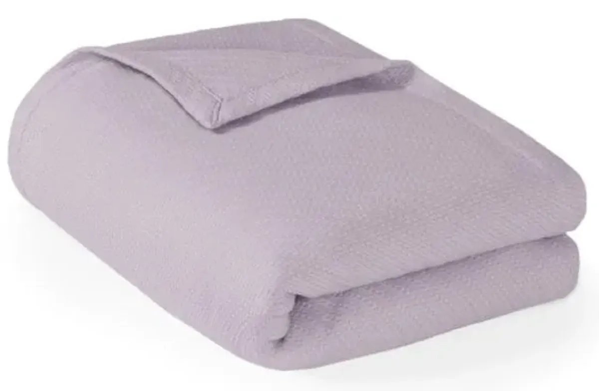 Olliix by Madison Park Liquid Cotton Lilac Twin Blanket