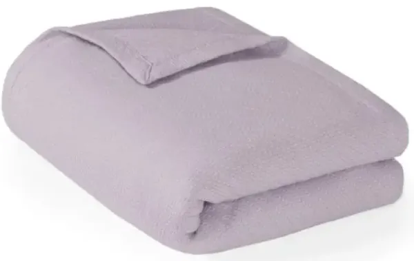 Olliix by Madison Park Liquid Cotton Lilac Twin Blanket