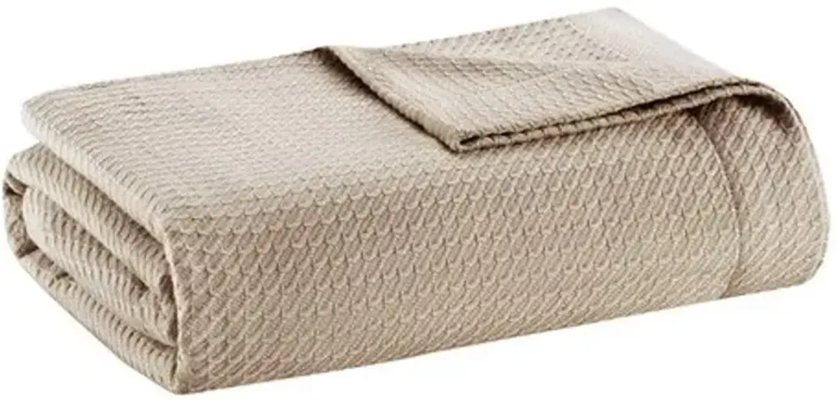 Olliix by Madison Park 100% Certified Egyptian Cotton Khaki Full/Queen Blanket