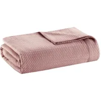Olliix by Madison Park Egyptian Cotton Rose Twin Blanket