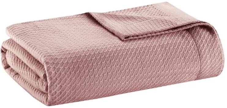 Olliix by Madison Park Egyptian Cotton Rose Twin Blanket