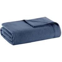 Olliix by Madison Park Egyptian Cotton Blue Twin Blanket