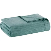 Olliix by Madison Park Egyptian Cotton Teal Twin Blanket