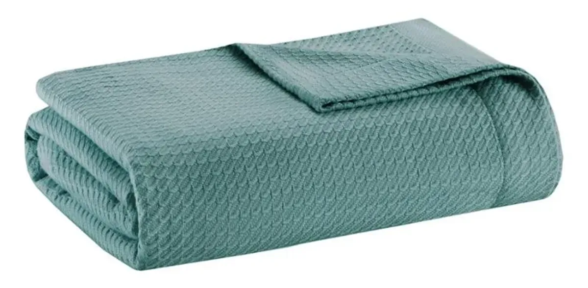 Olliix by Madison Park Egyptian Cotton Teal Twin Blanket