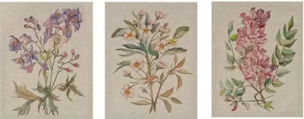 Olliix by Madison Park Linen Botanicals 3 Piece Multicolor Printed Linen Canvas Set