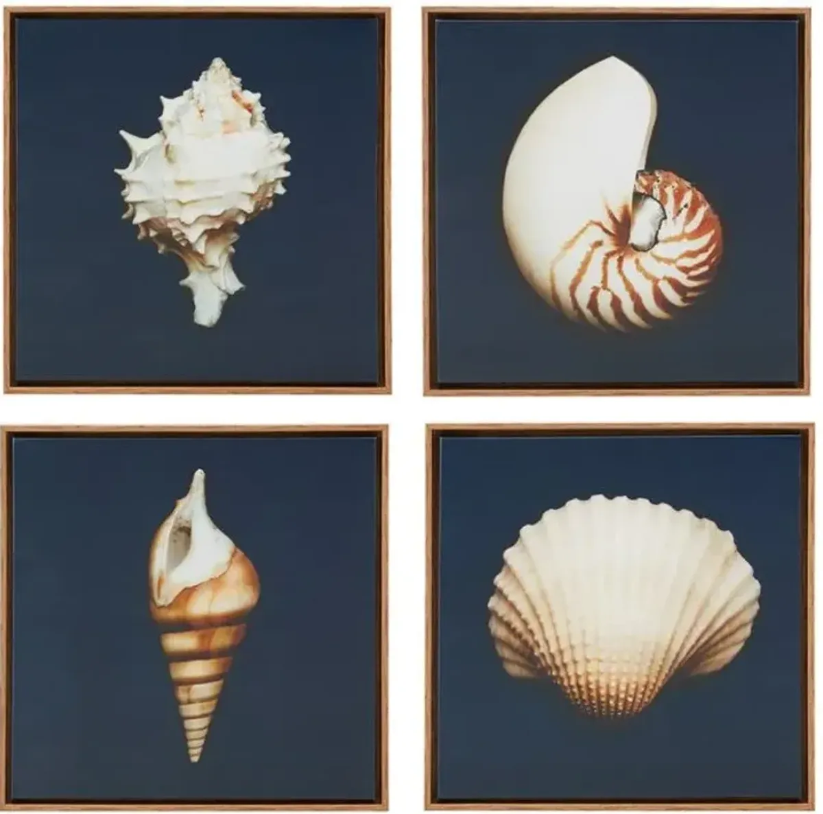 Olliix by Madison Park Ocean Seashells 4 Piece Blue Framed Canvas