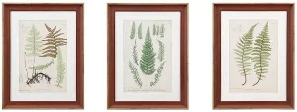 Olliix by Martha Stewart Lady Fern Collection 3 Piece Set Green Single Mat Framed Graphic
