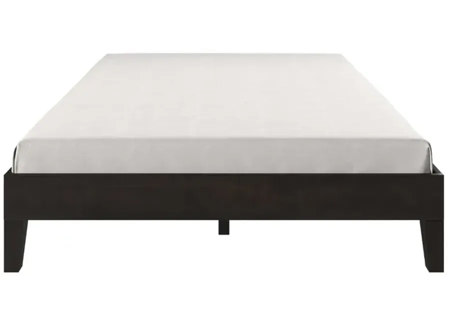 Steve Silver Co. Nix Black Full Bed