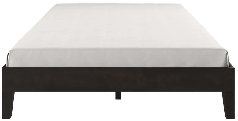 Steve Silver Co. Nix Black Full Bed