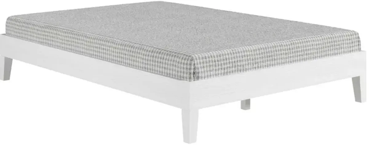 Steve Silver Co. Nix White Full Platform Bed