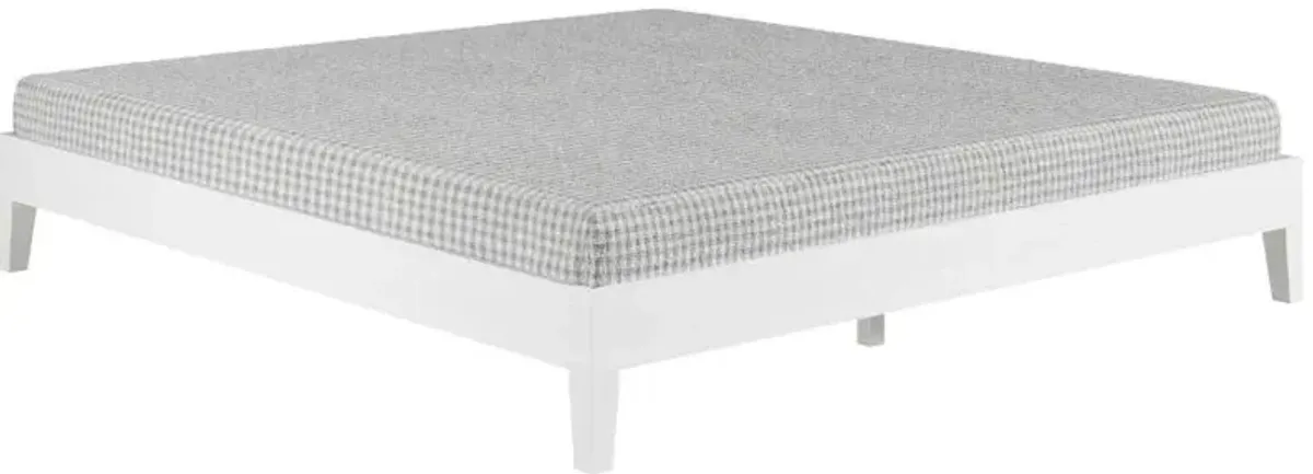 Steve Silver Co. Nix White King Platform Bed