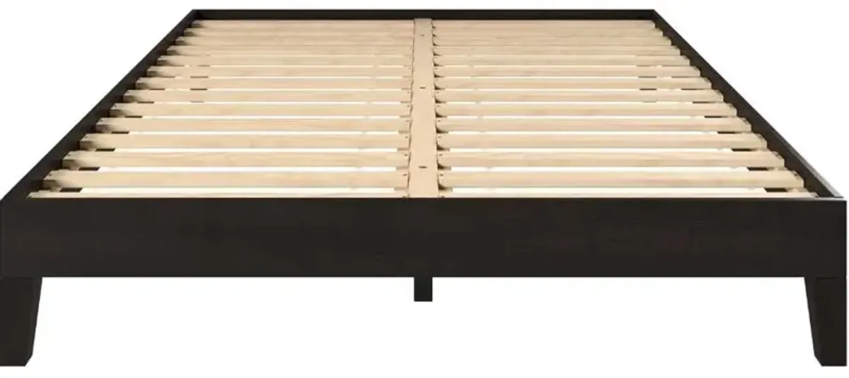 Steve Silver Co. Nix Black Queen Platform Bed