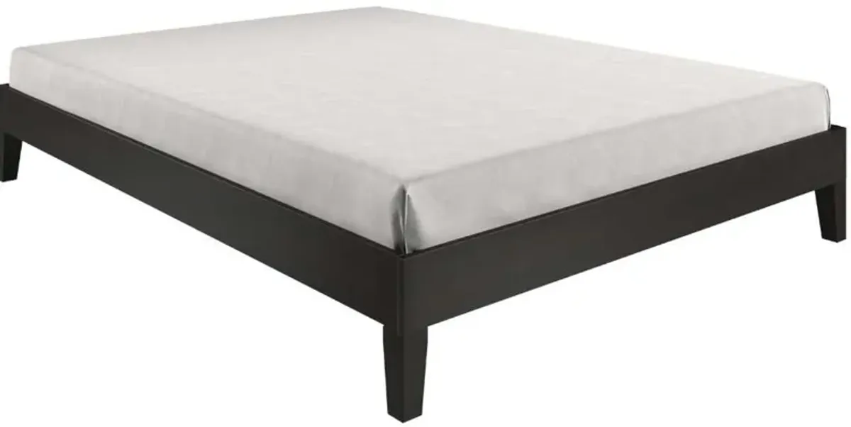 Steve Silver Co. Nix Black Queen Platform Bed