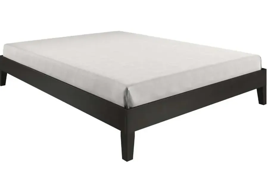 Steve Silver Co. Nix Black Queen Bed