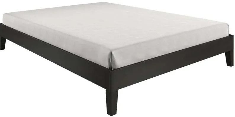 Steve Silver Co. Nix Black Queen Bed