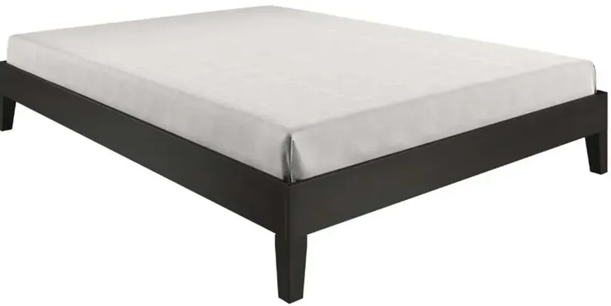 Steve Silver Co. Nix Black Queen Platform Bed