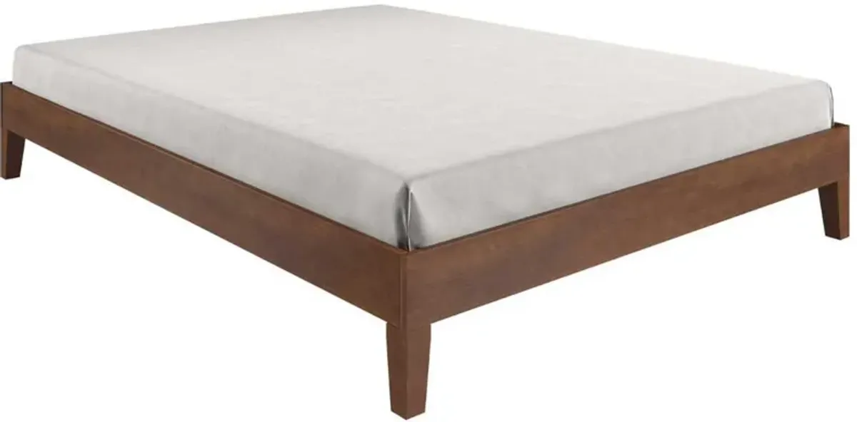 Steve Silver Co. Nix Natural Queen Platform Bed