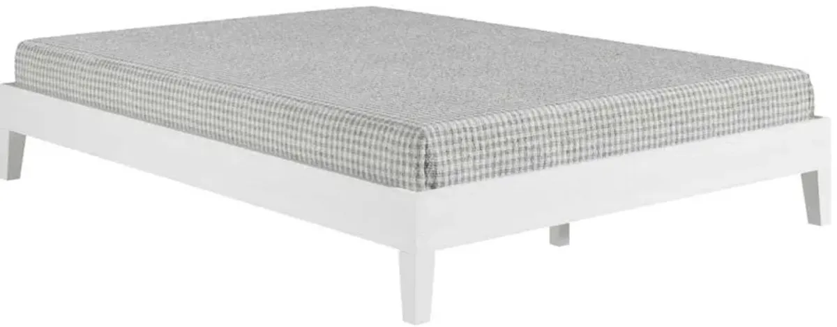 Steve Silver Co. Nix White Queen Platform Bed